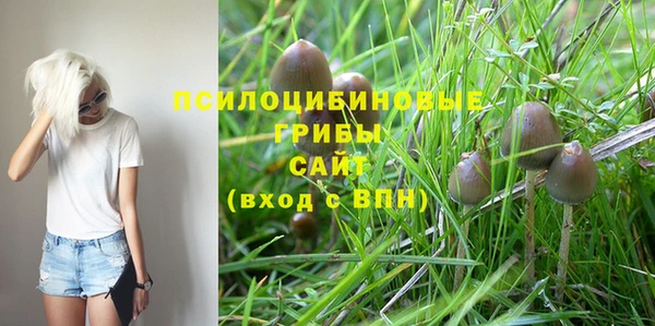 ГАЛЛЮЦИНОГЕННЫЕ ГРИБЫ Абаза