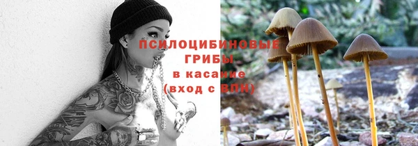 ГАЛЛЮЦИНОГЕННЫЕ ГРИБЫ Абаза