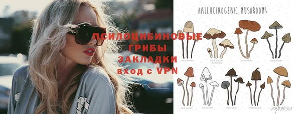 прущие грибы Алексеевка